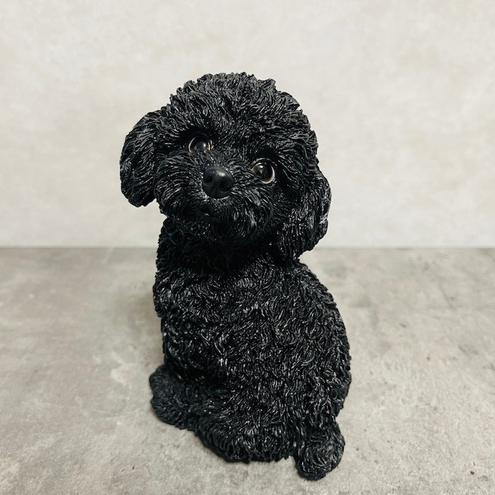 9_000000002231.jpg?1745908147