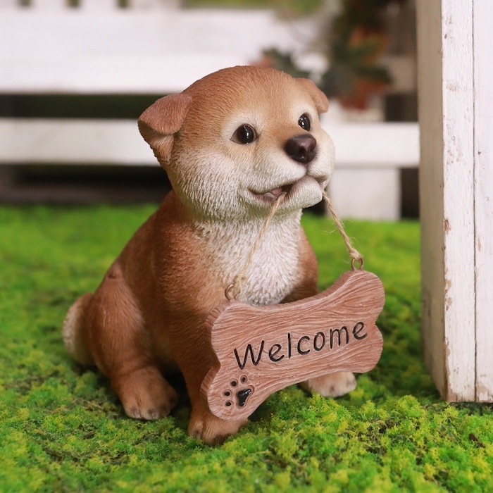 2_000000002034.jpg?1734671106