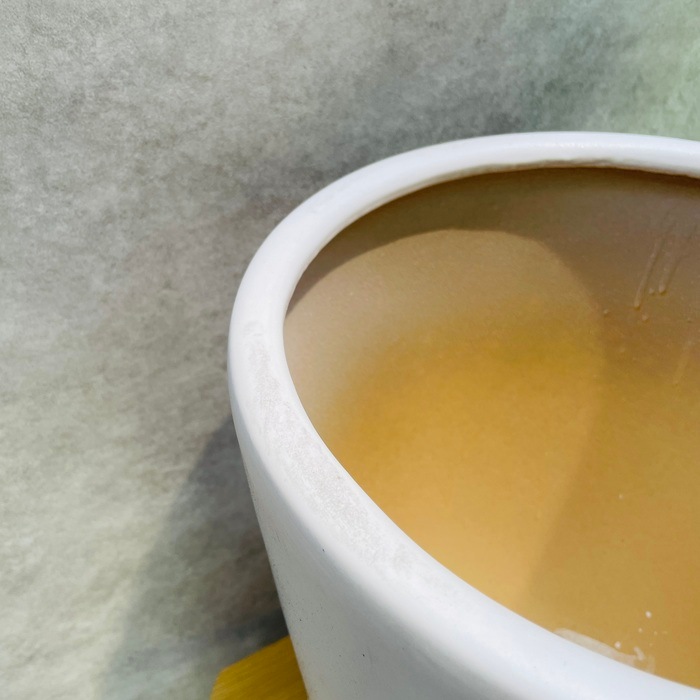 植木鉢 大型 11号 白色 ホワイト WYモダン PR1 マット釉 受け皿付き