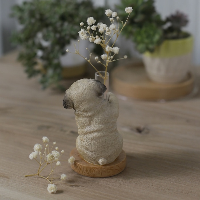 6_000000002039.jpg?1734671557