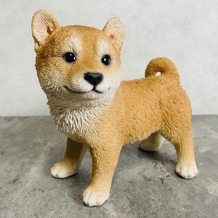 柴犬(茶)ジオラマウワッチ つぶらな瞳で散歩待ち 散歩に行くワン！ジオラマ柴犬茶セット