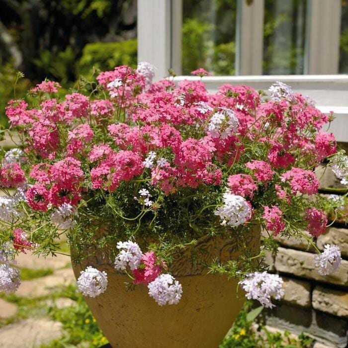 トルコ　ヴィンテージラグ　くすみピンク　フローラル トルコ ヴィンテージラグ くすみピンク フローラル 【公式通販】