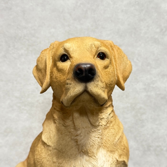 置物 お座りラブラドール・レトリバー 犬 イヌ 特大 高さ54cm woobia
