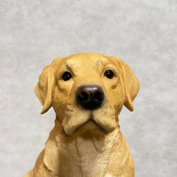 置物 お座りラブラドール・レトリバー 犬 イヌ 特大 高さ54cm woobia