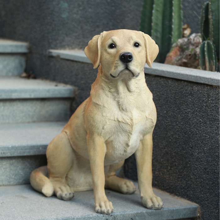 【Lab】ラブラドールレトリバー カウチン フルジップ カナダ  カナタ L Lab】ラブラドールレトリバー カウチン フルジップ カナダ カナタ L