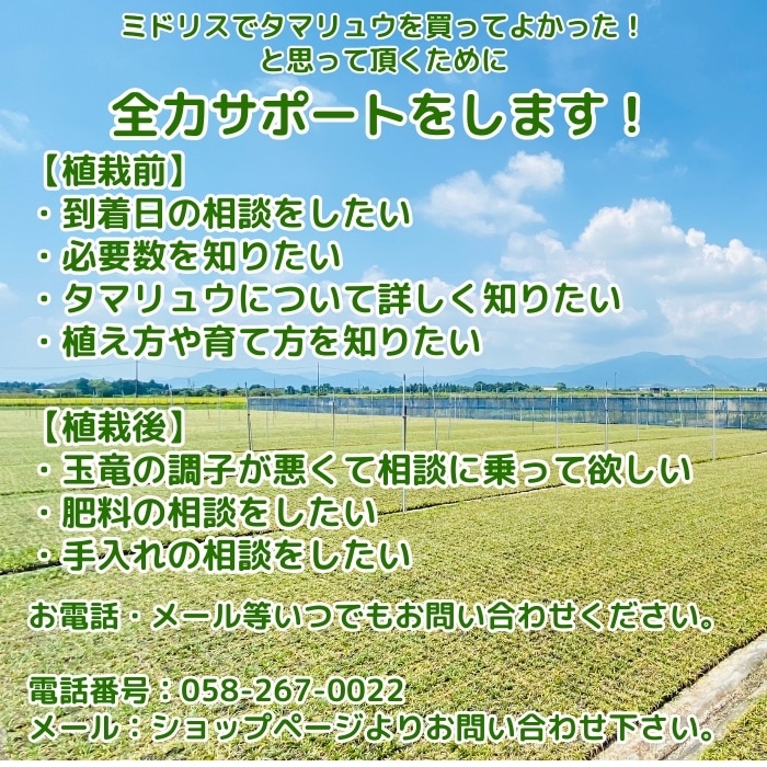 全力サポート