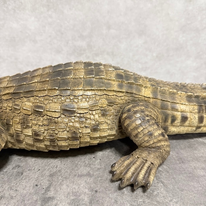 置物 威嚇するワニ 横幅77.5cm woobia ウービア 大きい かわいい