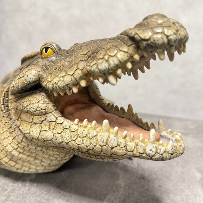 置物 威嚇するワニ 横幅77.5cm woobia ウービア 大きい かわいい