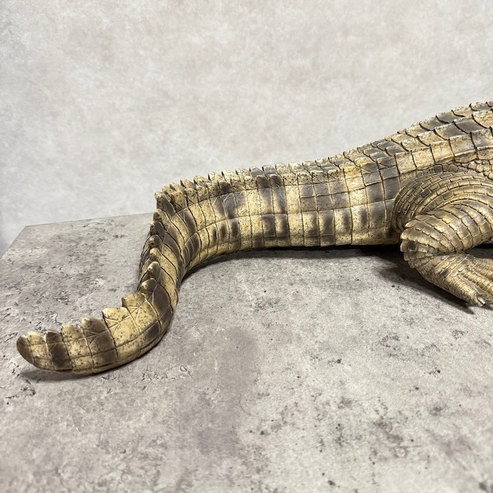 置物 威嚇するワニ 横幅77.5cm woobia ウービア 大きい かわいい