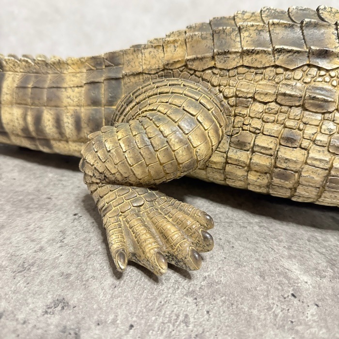 置物 威嚇するワニ 横幅77.5cm woobia ウービア 大きい かわいい