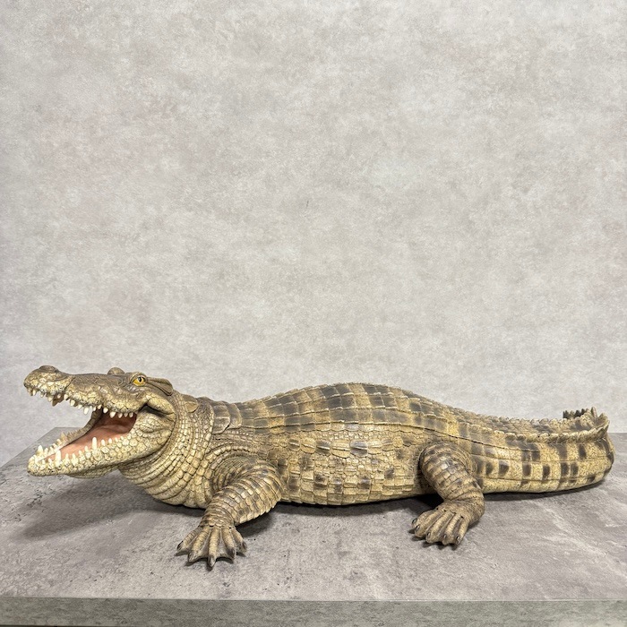 極上　ワニ　置物　トヒニ 962g 東S8-0402☆2F Amazon.co.jp: サファリ動物フィギュア,ワニのフィギュア - 樹脂製の
