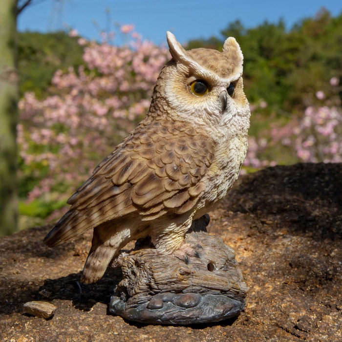 ワシミミズク 大きな置物 高さ57cm、18.8.kg フクロウ科 アンティーク