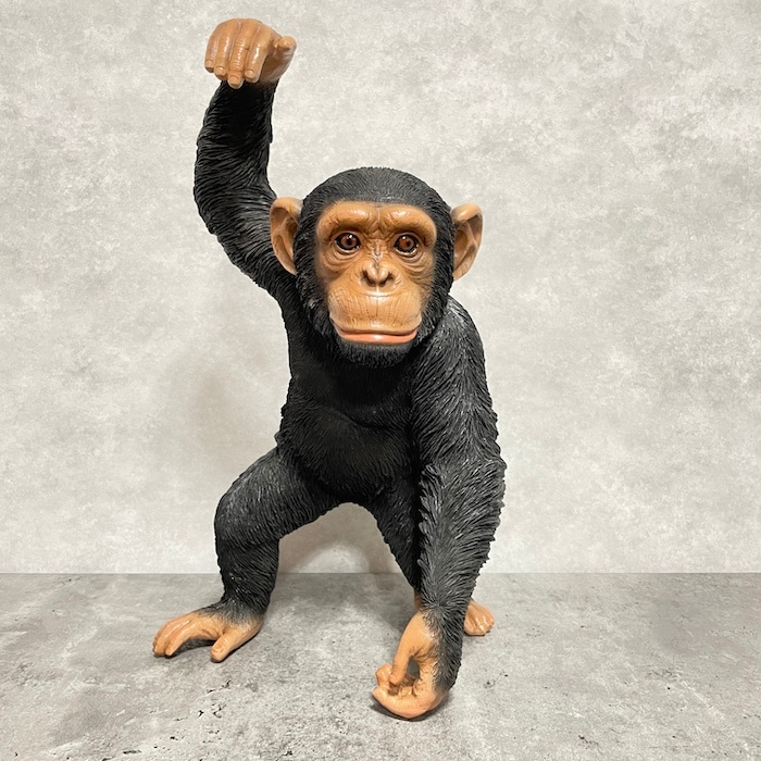 チンパンジー DSC_2390-thumb-1200xauto-