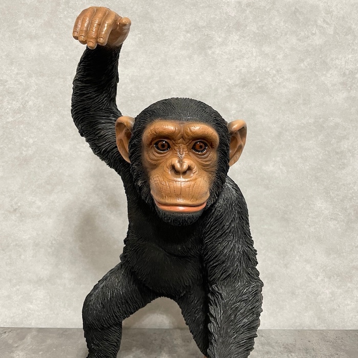 モールアート☆チンパンジー 成長」 180×140㎜ Oilpastel, Acrylic チンパンジー 2024 F0サイズの