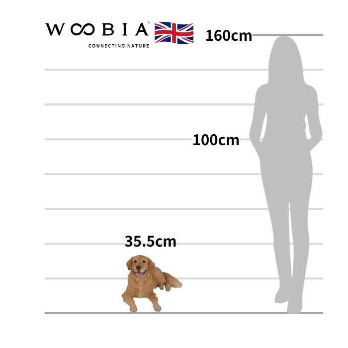犬 置物 大きい 横たわるゴールデン レトリバー 特大 横幅63cm woobia