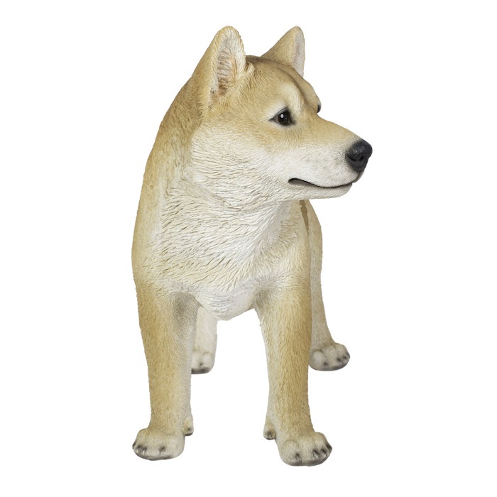 置物 左向きに立つ柴犬 イヌ 大 高さ41.5cm woobia ウービア