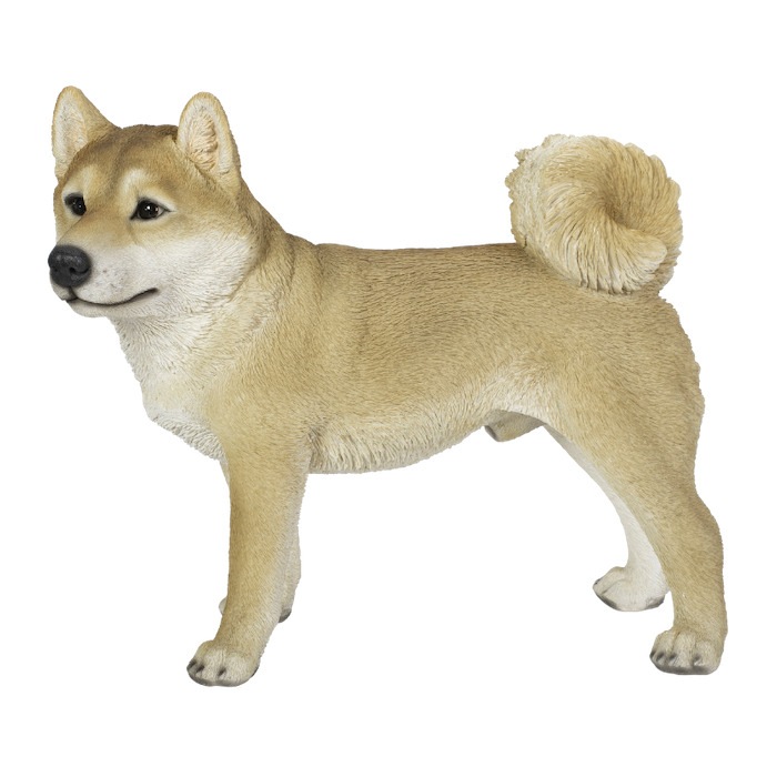 置物 左向きに立つ柴犬 イヌ 大 高さ41.5cm woobia ウービア