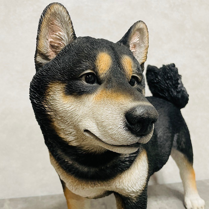 置物 立っている黒柴犬 イヌ 特大 高さ41.5cm woobia ウービア