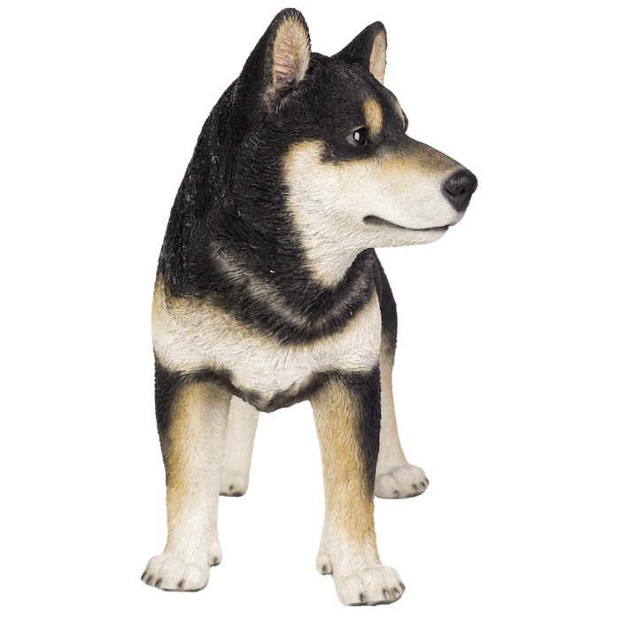 犬　置物　リアル　柴犬　黒柴　40cm ガーデン 送料無料】犬樹脂置物【ガーデニング雑貨】クロ柴犬 庭 玄関