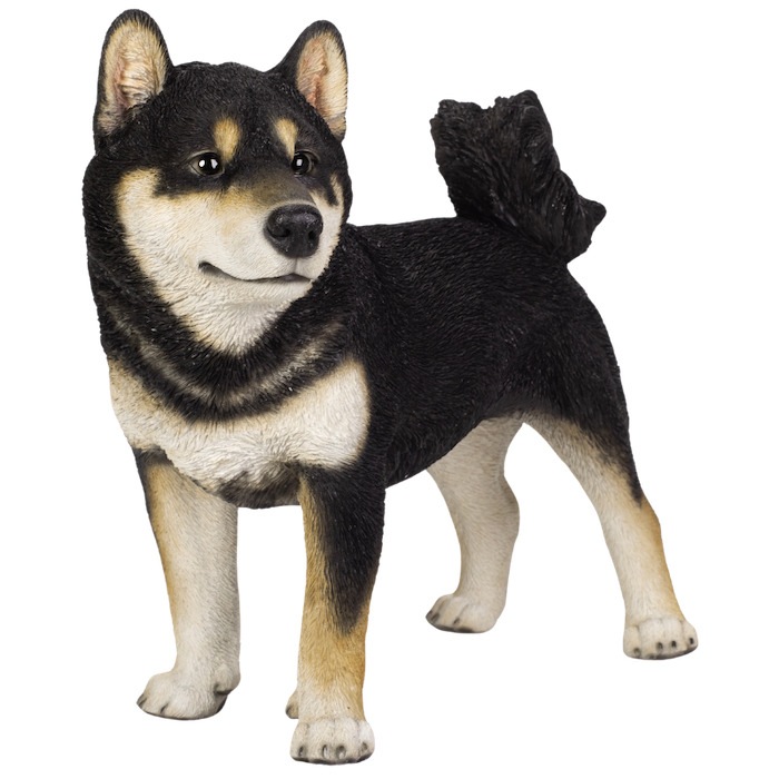 置物 立っている黒柴犬 イヌ 特大 高さ41.5cm woobia ウービア