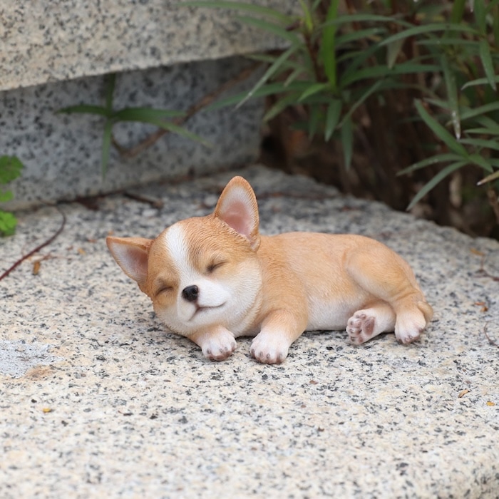 チワワ 置物 犬 置物 すやすやチワワ レッド グッズ 横幅17.5cm リアル 可愛い