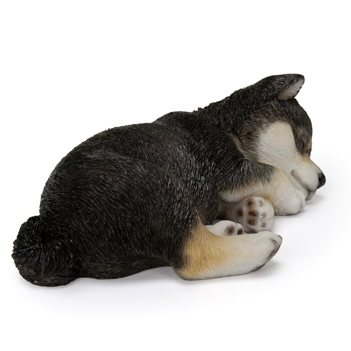 犬 置物 すやすや黒柴犬 グッズ 横幅17.5cm リアル 可愛い おしゃれ
