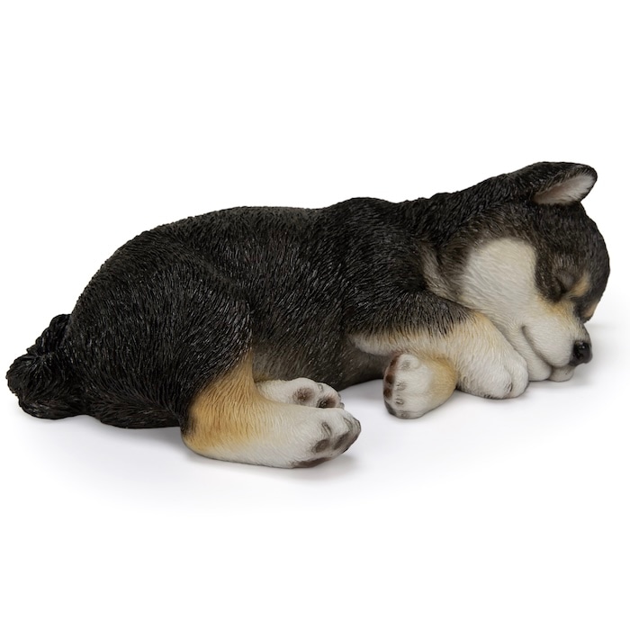 犬 置物 すやすや黒柴犬 グッズ 横幅17.5cm リアル 可愛い おしゃれ