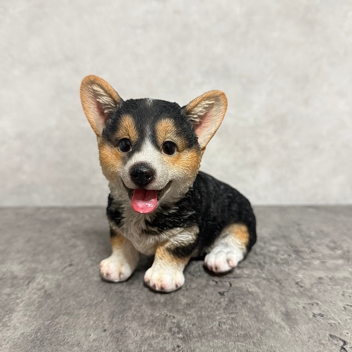 犬 置物 小さい かわいい 高さ11.5cm 左向き座りウェルシュコーギー黒