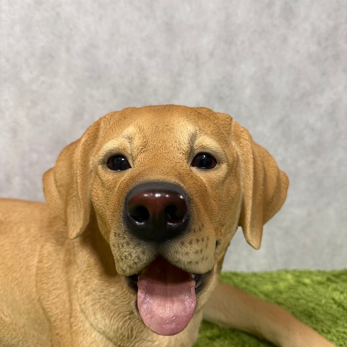置物 犬 大きい かわいい おしゃれ 玄関 woobia ウービア 横幅80cm