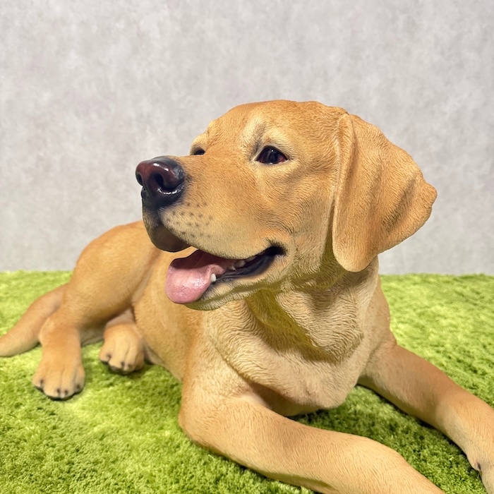 ゴールドカラー 犬の置物 オブジェ　ラブラドール 置物 犬 大きい かわいい おしゃれ 玄関 woobia ウービア 横幅80cm