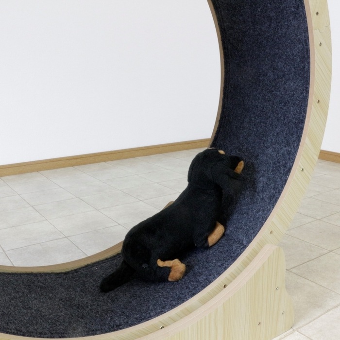 犬猫用ホイール 大回転おもちゃ ストレス解消回転ホイール W91×D34.5 