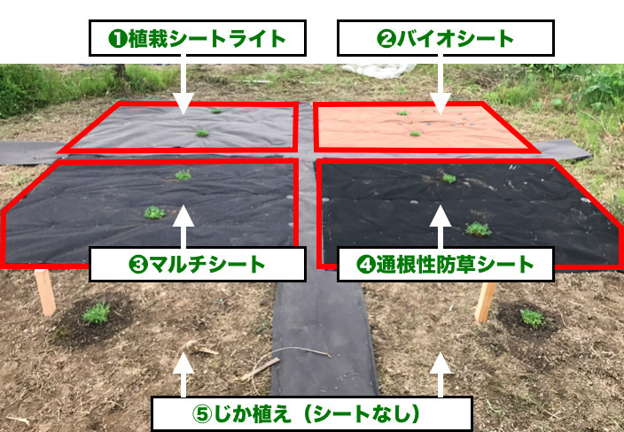 クラピア用「防草シート」商品紹介 | クラピア育て隊