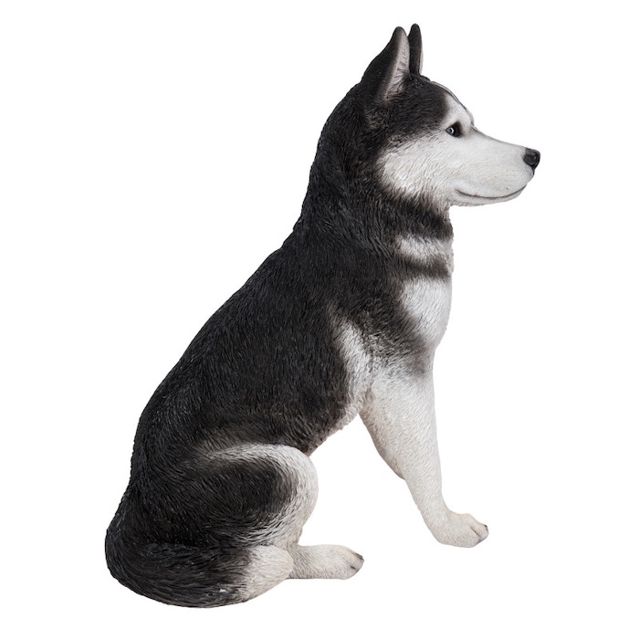 かわいい 犬 置物 お座り シベリアンハスキー 高さ50cm woobia