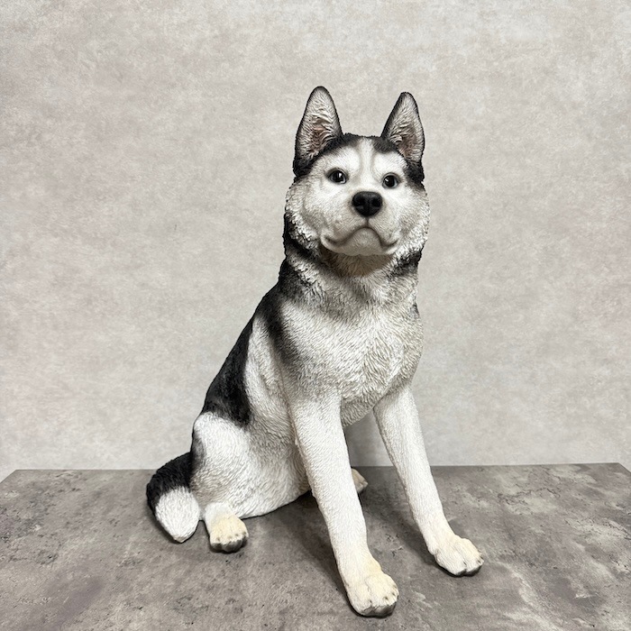 かわいい 犬 置物 お座り シベリアンハスキー 高さ50cm woobia