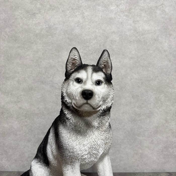 かわいい 犬 置物 お座り シベリアンハスキー 高さ50cm woobia