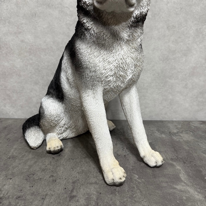 かわいい 犬 置物 お座り シベリアンハスキー 高さ50cm woobia