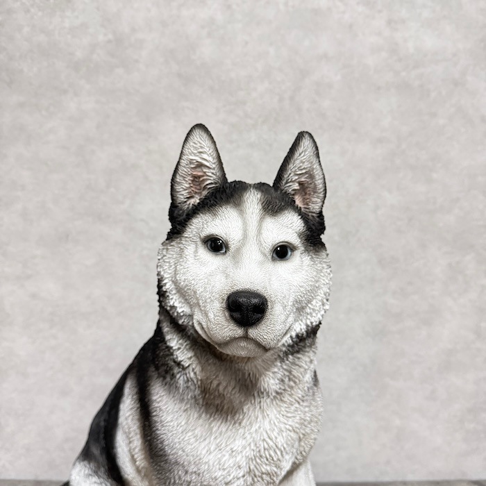 かわいい 犬 置物 お座り シベリアンハスキー 高さ50cm woobia