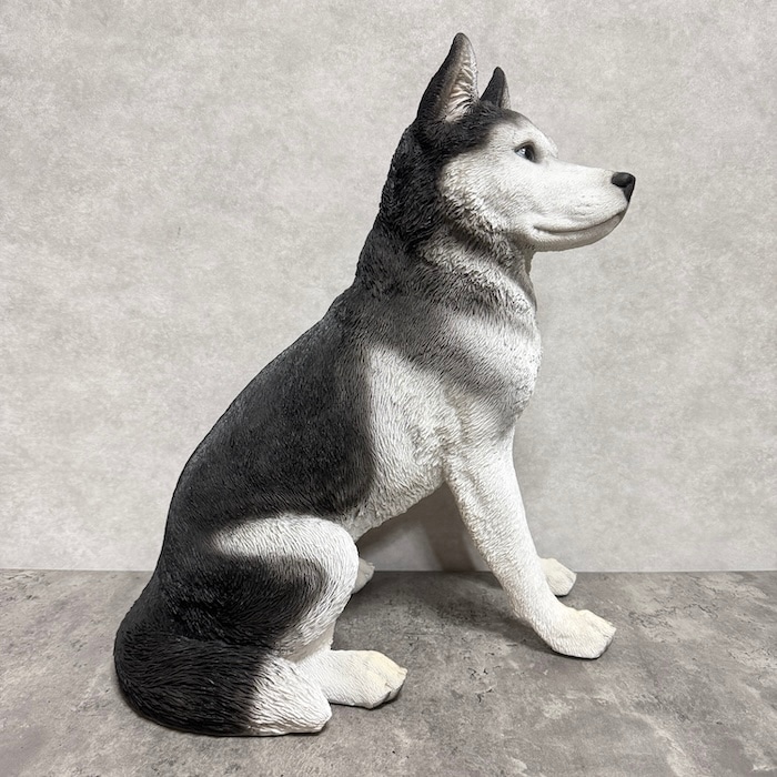かわいい 犬 置物 お座り シベリアンハスキー 高さ50cm woobia