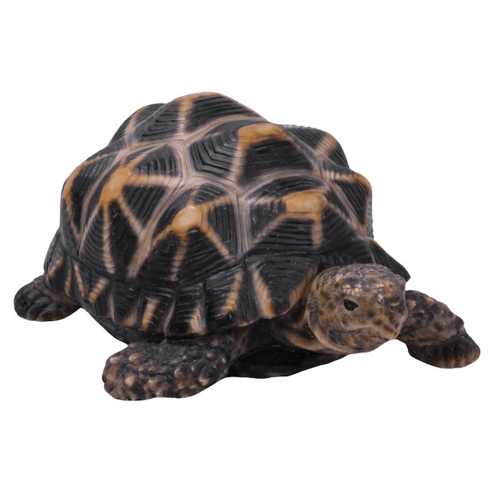 かわいい 亀の置物 ホシガメ（中） woobia ウービア おしゃれ ガーデン