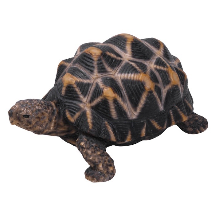 かわいい 亀の置物 ホシガメ（中） woobia ウービア おしゃれ ガーデン