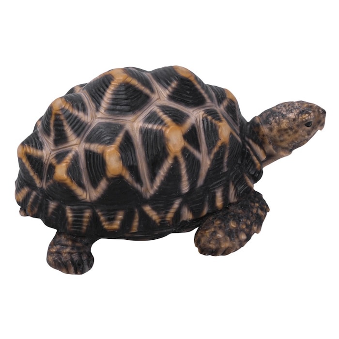 かわいい 亀の置物 ホシガメ（中） woobia ウービア おしゃれ ガーデン