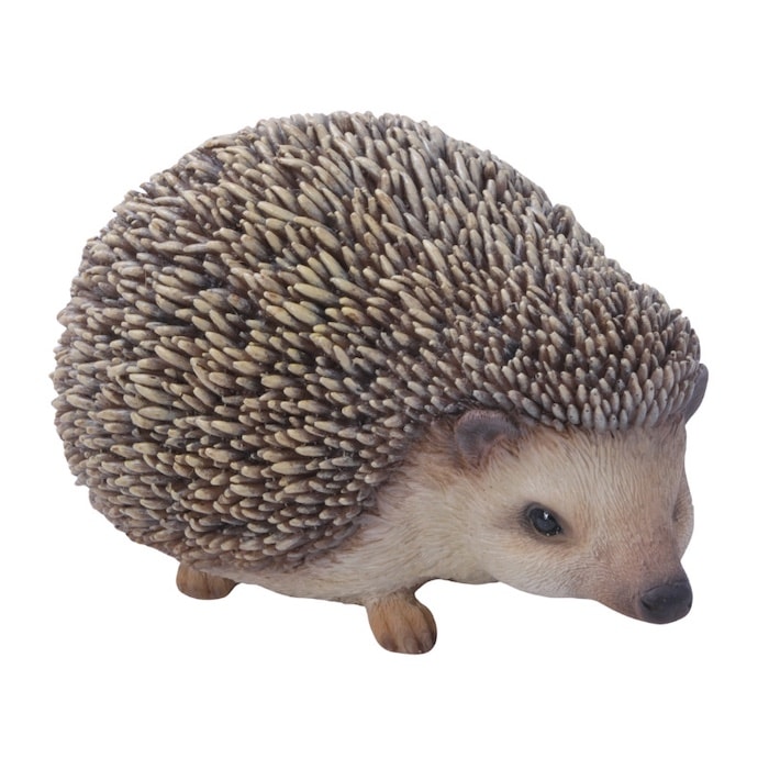 6_000000001889.jpg?1730272670