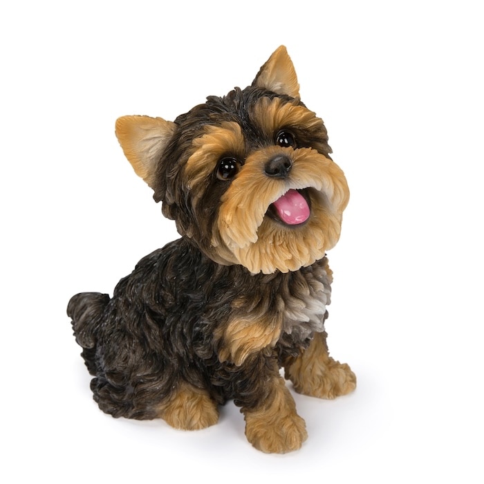 置物 犬 おしゃれ 玄関 ガーデン 屋外 リアル かわいい ヨークシャー