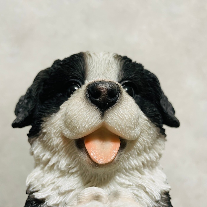 かわいい犬の置物 おねだりボーダーコリー 高さ22cm woobia