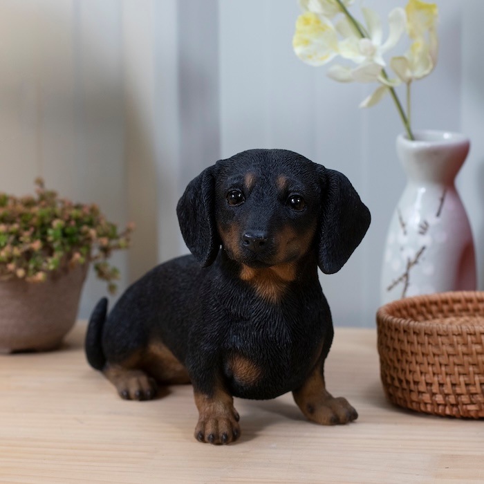 かわいい 犬 置物 横幅22.5cm お座りダックスフンド ブラックタン