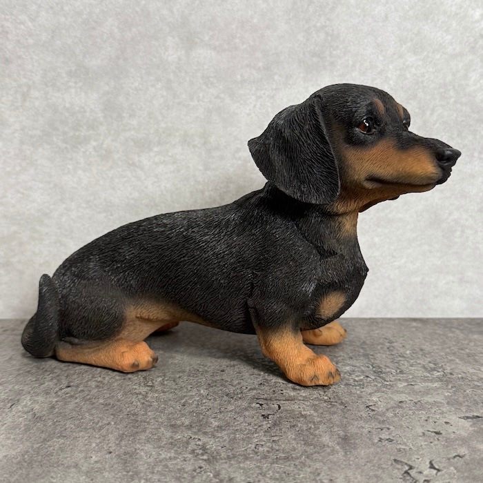 かわいい 犬 置物 横幅22.5cm お座りダックスフンド ブラックタン