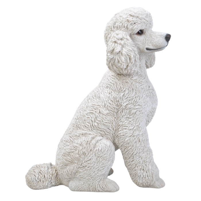 置物 待てトイプードル 大 犬 グッズ 高さ48.5cm woobia ウービア