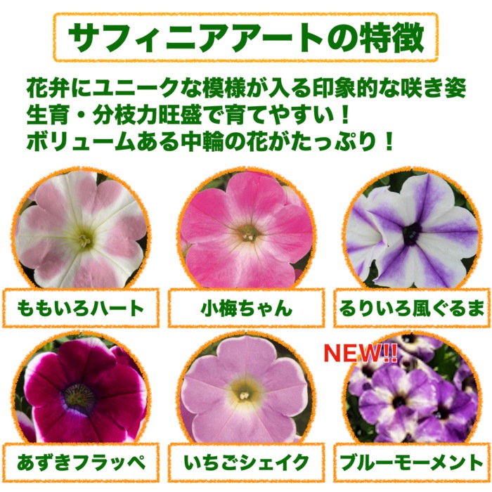 サフィニアアート 6色×2株 12株セット 9cmポット苗 肥料100g付 3