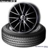 205/65R16 95S｜SEBERLING SL101〈セイバーリング〉＆WEDS RIZLEY VS〈ウェッズ ライツレー〉｜タイヤホイール4本セット|■ベーシック｜SEBERLING SL10