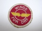WINGS��FOR��DRF